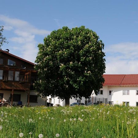 Ferienhof Hopfgaertle Mueller Bodnegg ภายนอก รูปภาพ