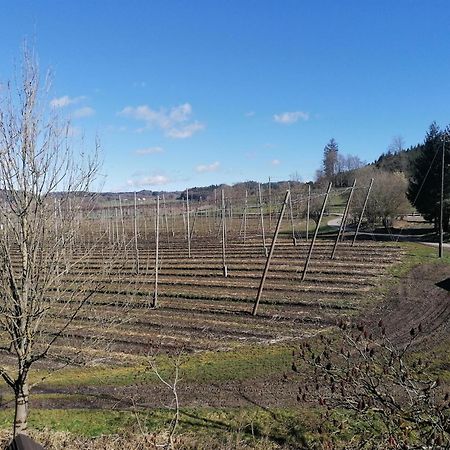 Ferienhof Hopfgaertle Mueller Bodnegg ภายนอก รูปภาพ