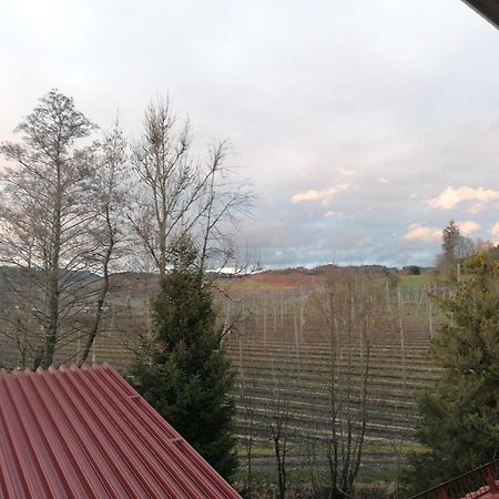 Ferienhof Hopfgaertle Mueller Bodnegg ภายนอก รูปภาพ