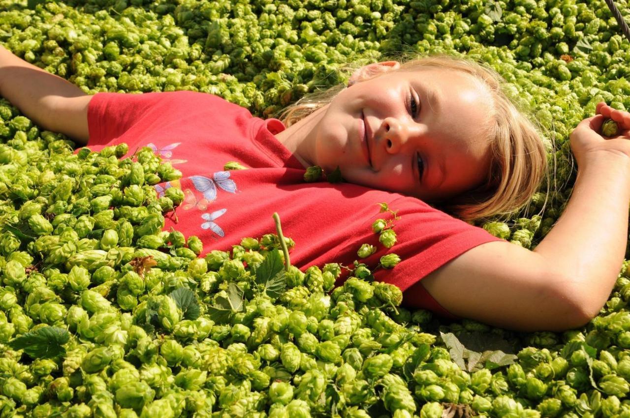 Ferienhof Hopfgaertle Mueller Bodnegg ภายนอก รูปภาพ