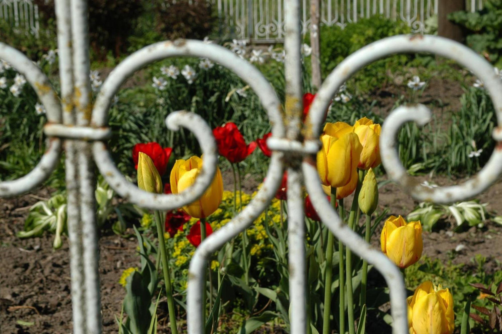 Ferienhof Hopfgaertle Mueller Bodnegg ภายนอก รูปภาพ