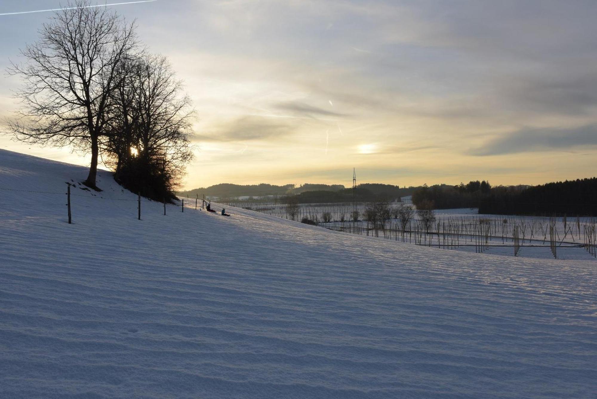 Ferienhof Hopfgaertle Mueller Bodnegg ภายนอก รูปภาพ