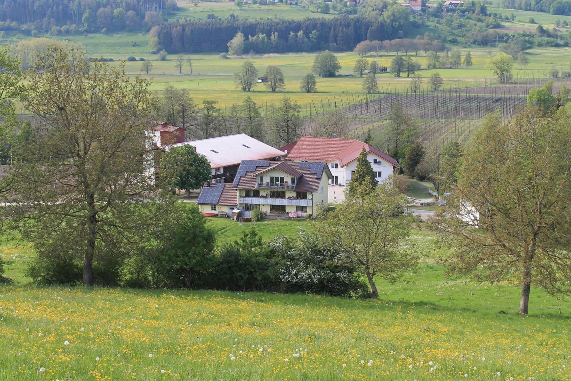 Ferienhof Hopfgaertle Mueller Bodnegg ภายนอก รูปภาพ