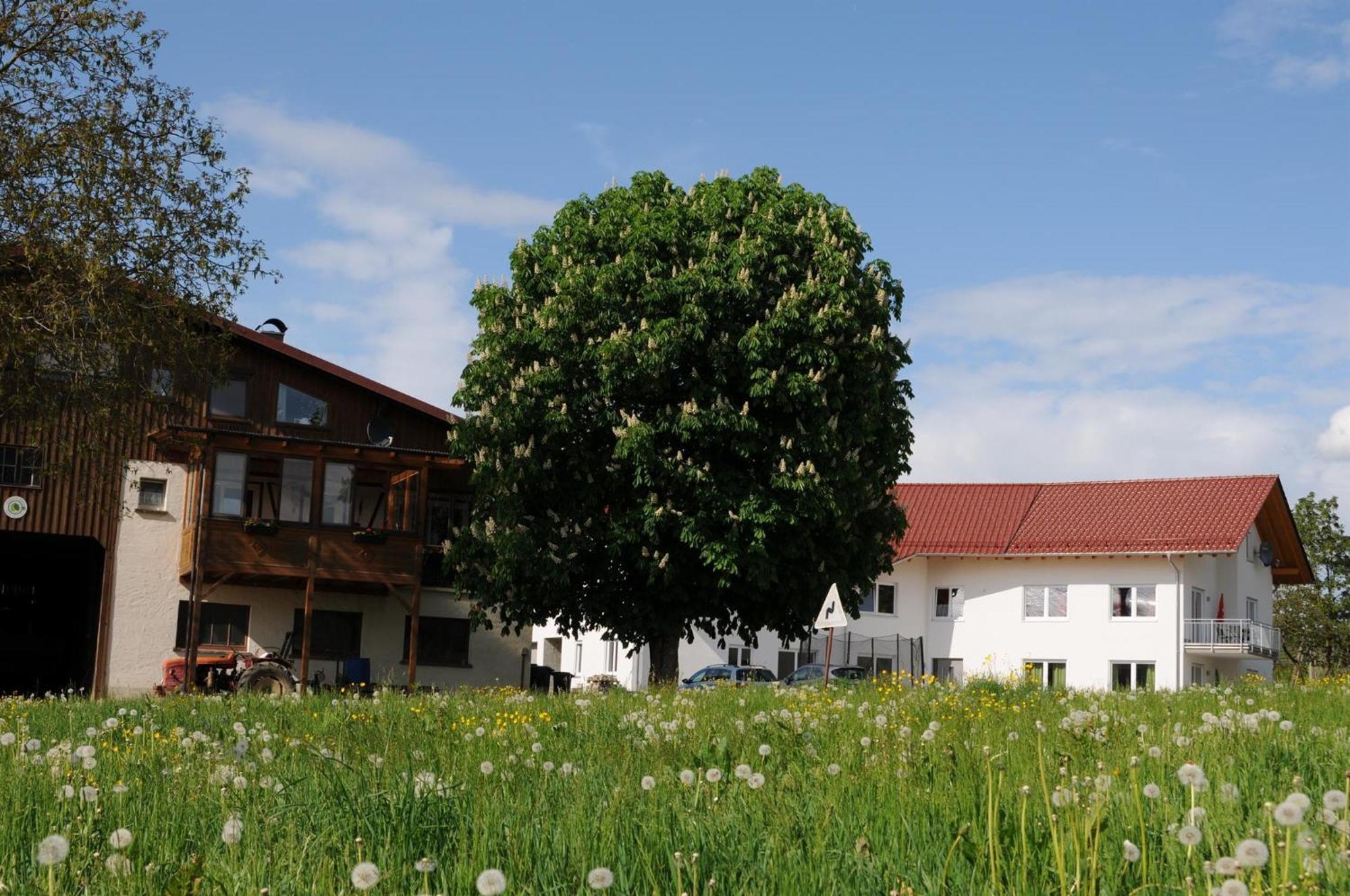 Ferienhof Hopfgaertle Mueller Bodnegg ภายนอก รูปภาพ