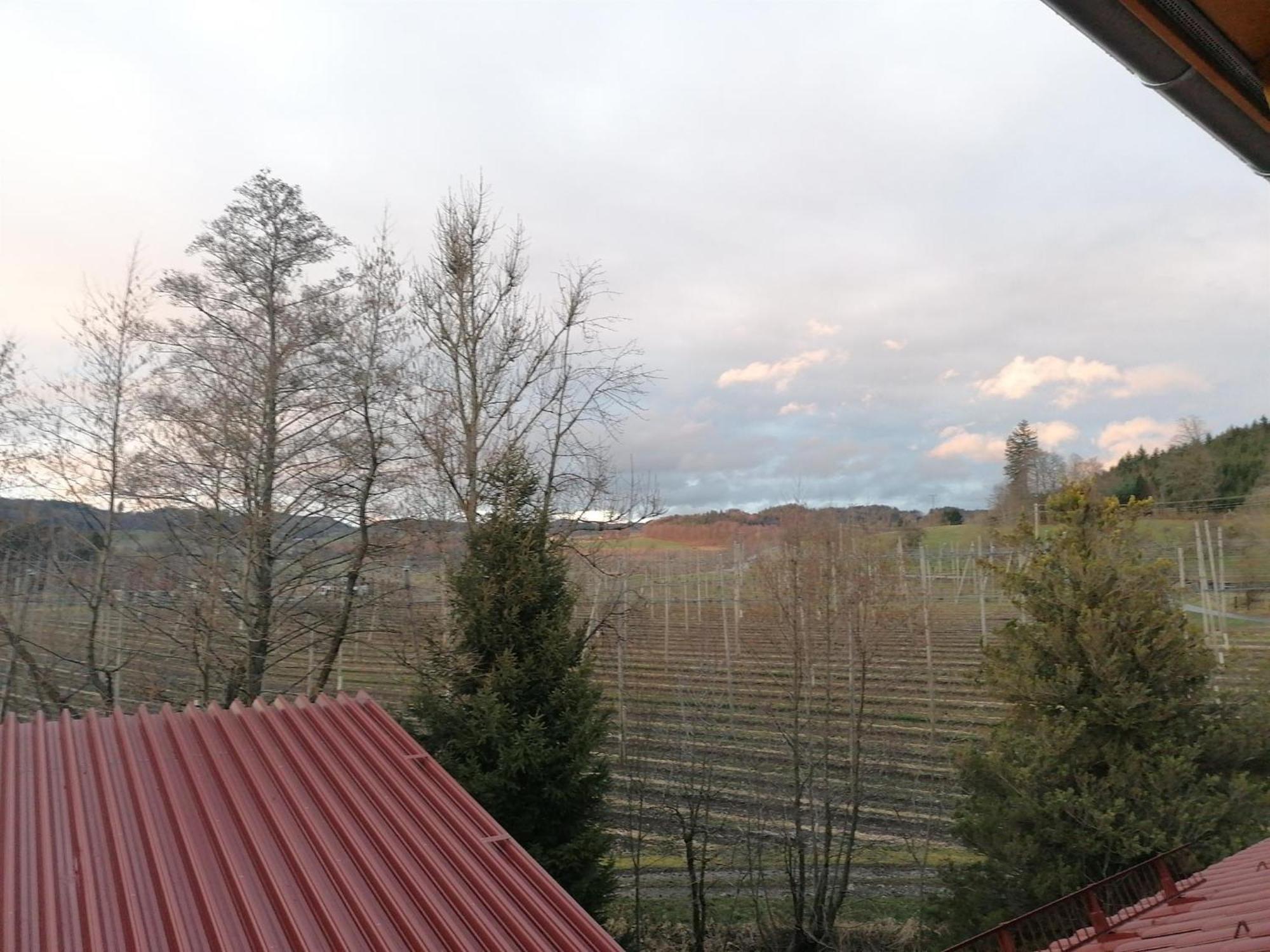 Ferienhof Hopfgaertle Mueller Bodnegg ห้อง รูปภาพ
